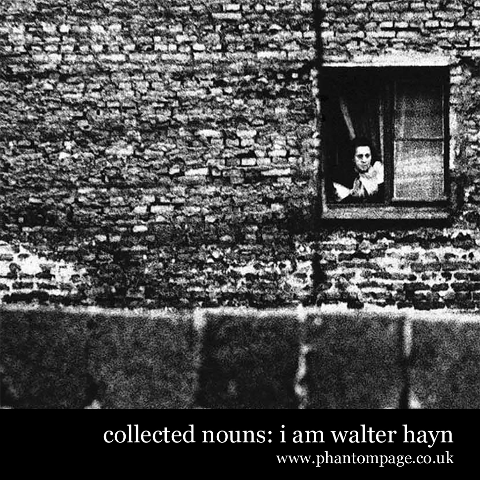 Phantom Page presents: I am Walter Hayn by Paul Busst (Collected Nouns)