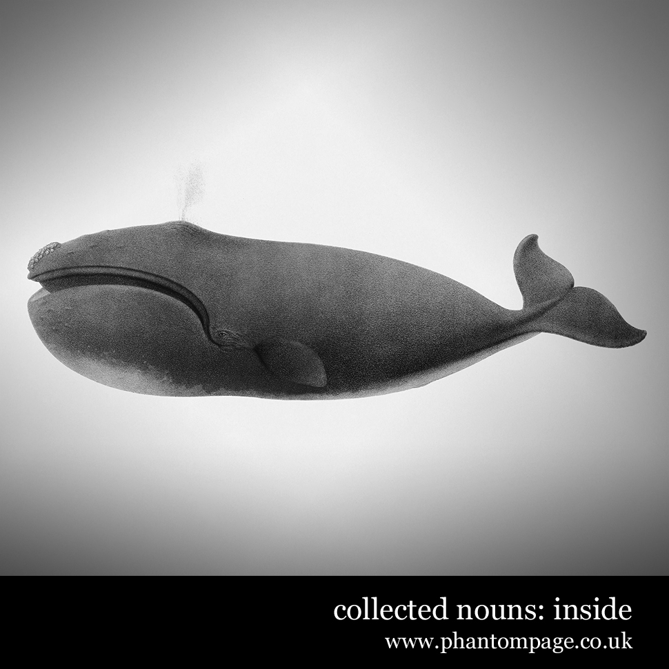 Phantom Page presents: Inside by Paul Busst (Collected Nouns)